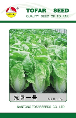 抗暑一号（11-17）
