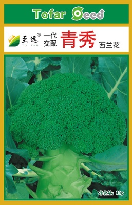 青秀