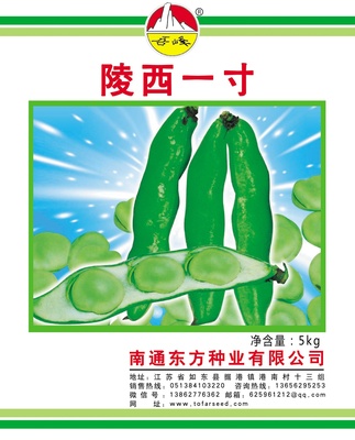 陵西一寸