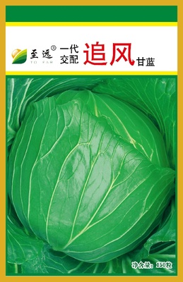 追风