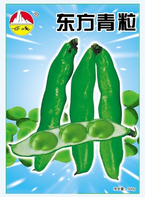 东方青粒